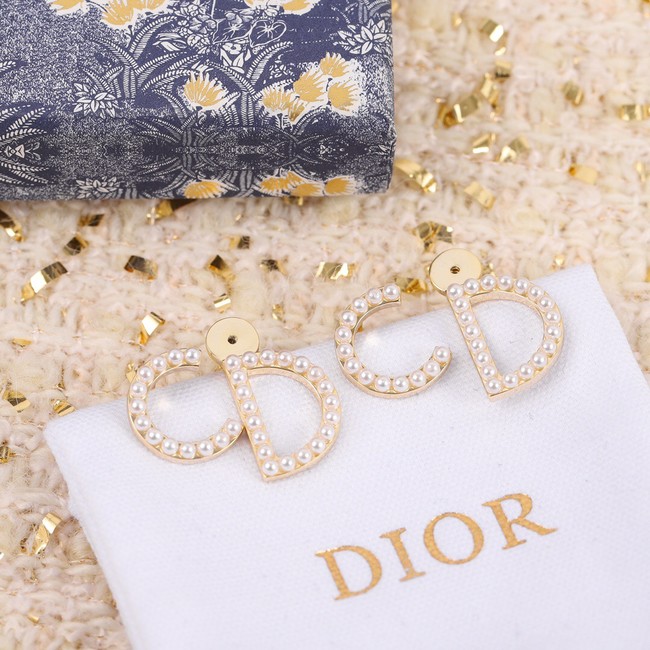 Dior Earrings CE11015