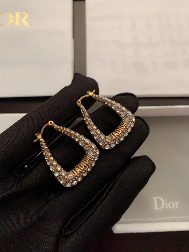 Dior Earrings CE11117