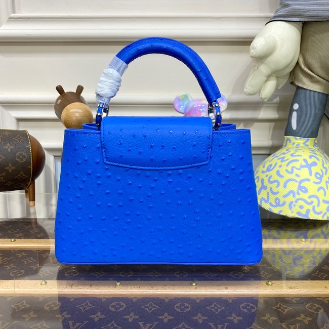 Louis Vuitton CAPUCINES BB M48865 blue