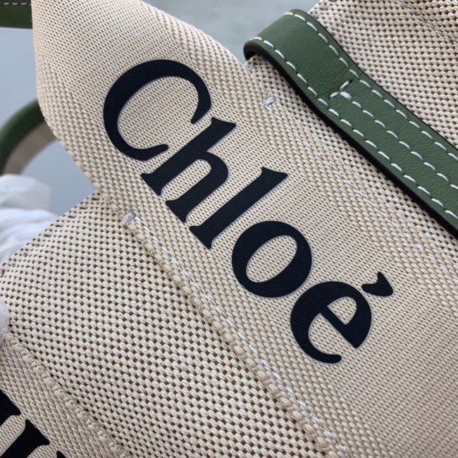 Chloe Cloth & leather 7576 green