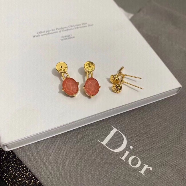 Dior Earrings CE11197