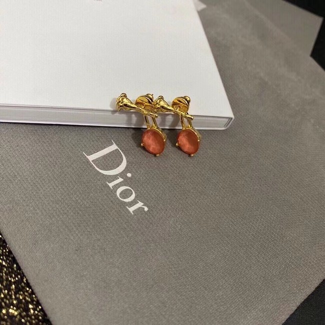 Dior Earrings CE11197