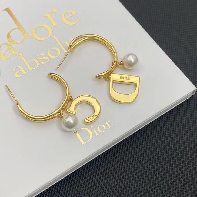 Dior Earrings CE11201