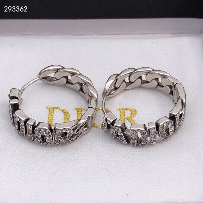 Dior Earrings CE11214