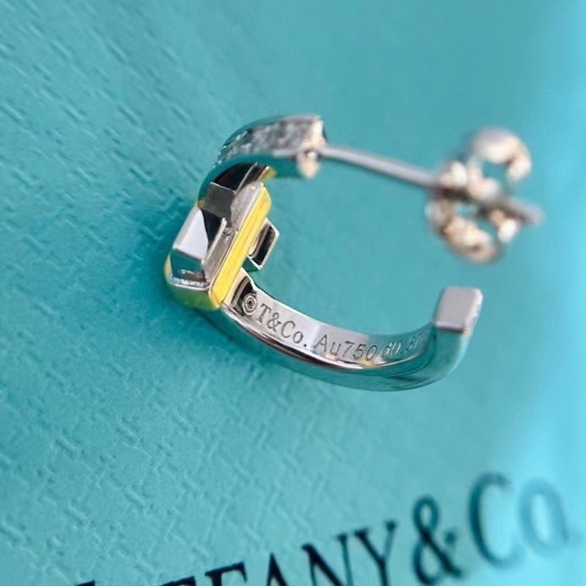 TIFFANY Earrings CE11194