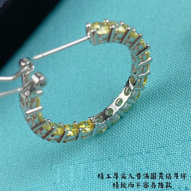 TIFFANY Earrings CE11235
