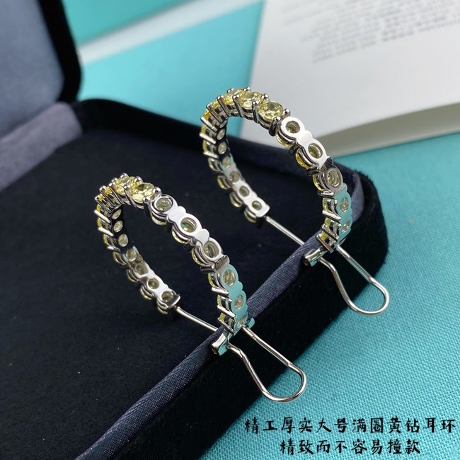 TIFFANY Earrings CE11235