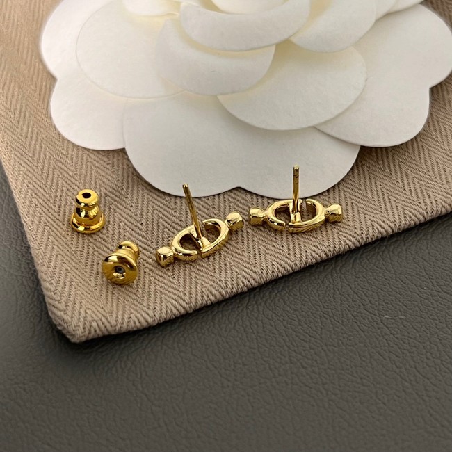 Dior Earrings CE11264