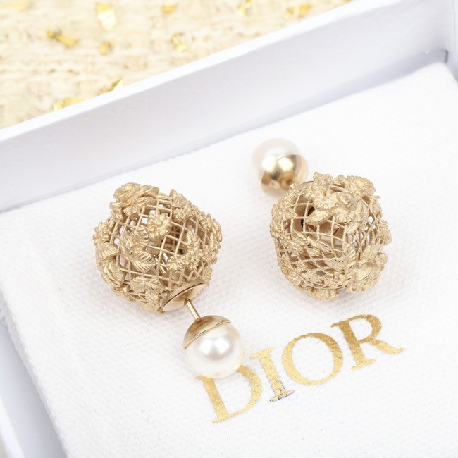 Dior Earrings CE11297