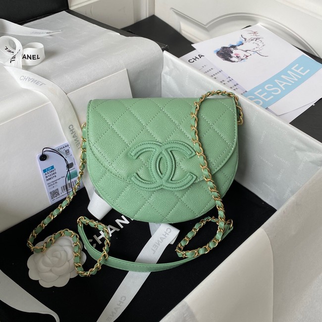 Chanel Shoulder Bag AS3867 green