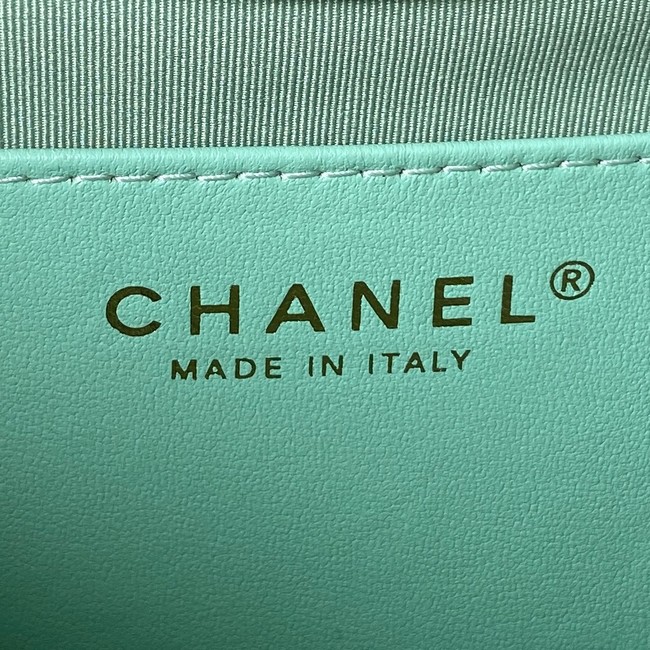Chanel Shoulder Bag AS3919 green