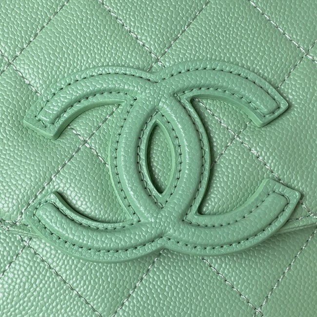 Chanel Shoulder Bag AS3919 green