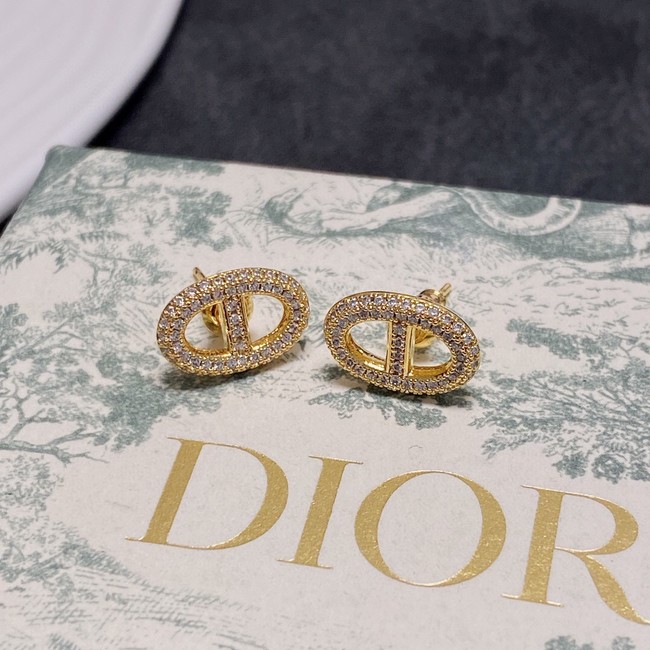 Dior Earrings CE11337
