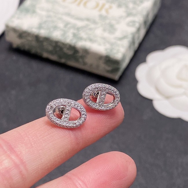 Dior Earrings CE11337