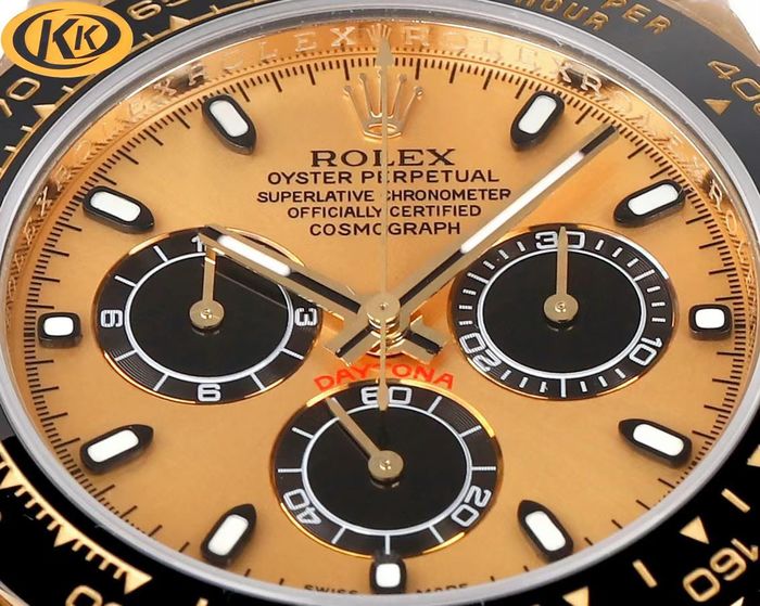 Rolex Watch RXW00473