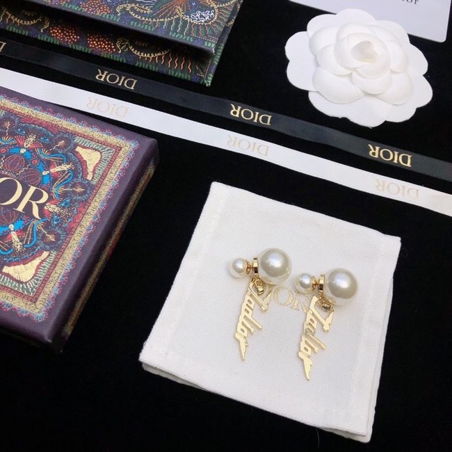 Dior Earrings CE11407