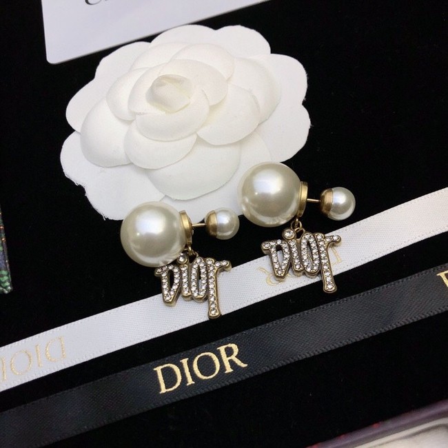 Dior Earrings CE11409