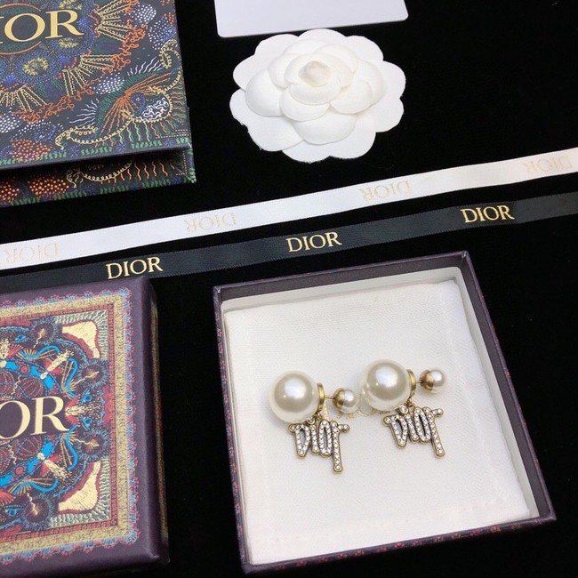 Dior Earrings CE11409