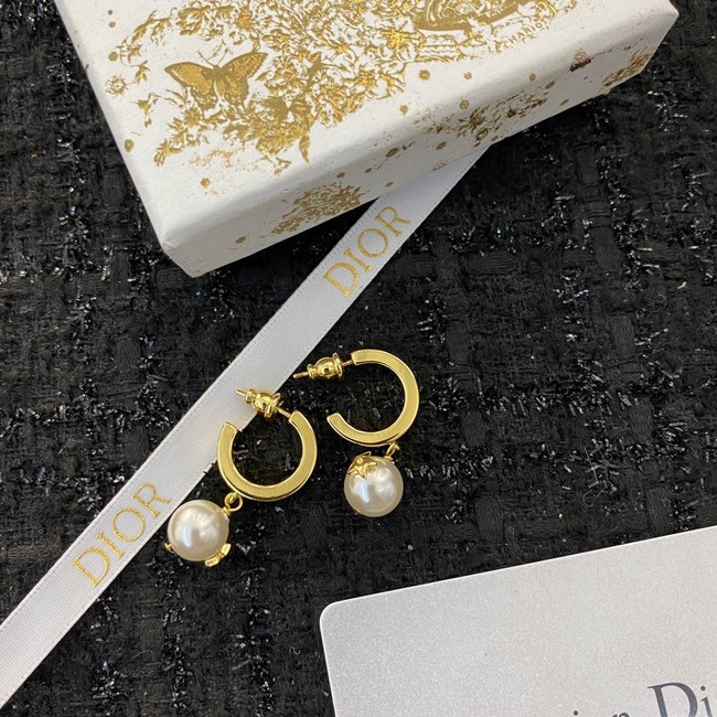 Dior Earrings CE11419