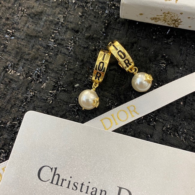 Dior Earrings CE11419