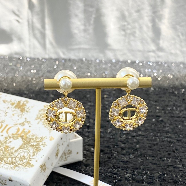 Dior Earrings CE11420