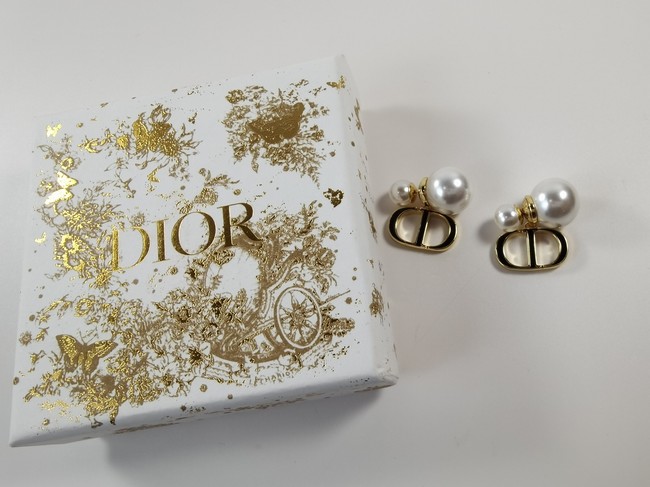 Dior Earrings CE11444