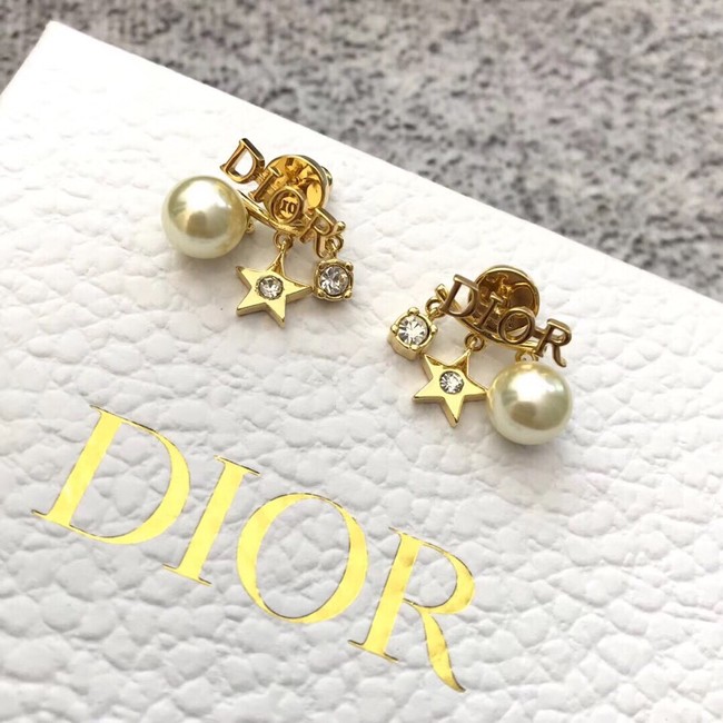 Dior Earrings CE11457