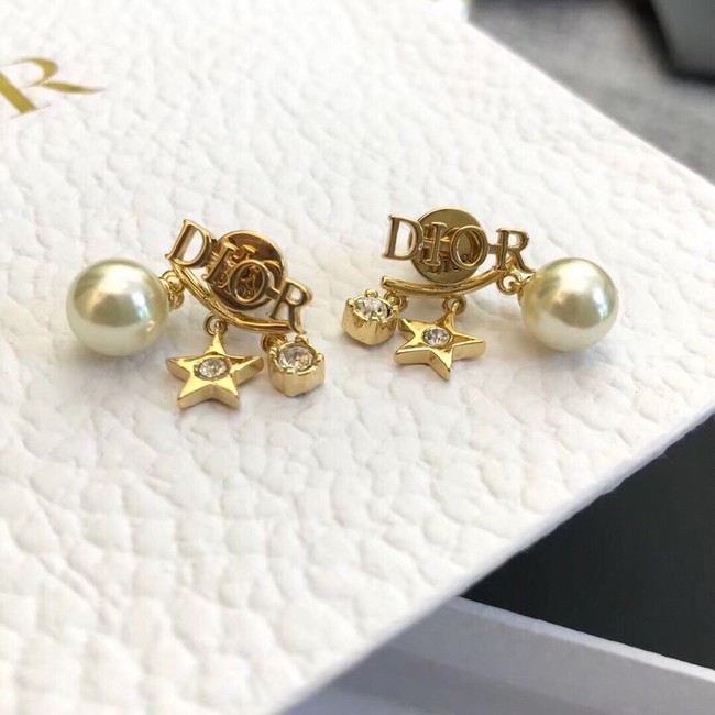 Dior Earrings CE11457