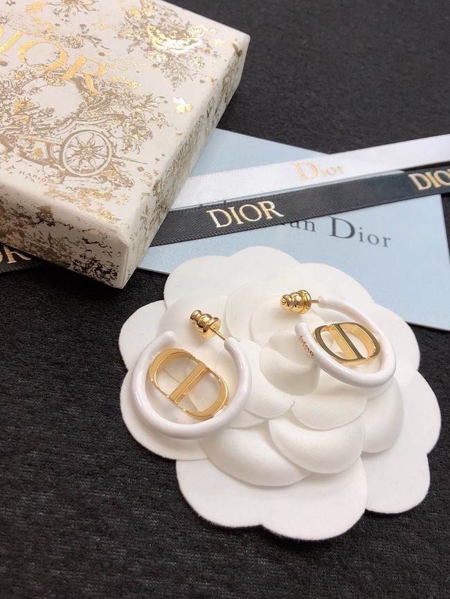 Dior Earrings CE11473