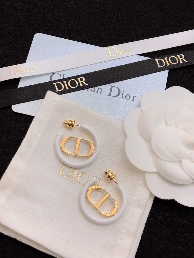 Dior Earrings CE11473