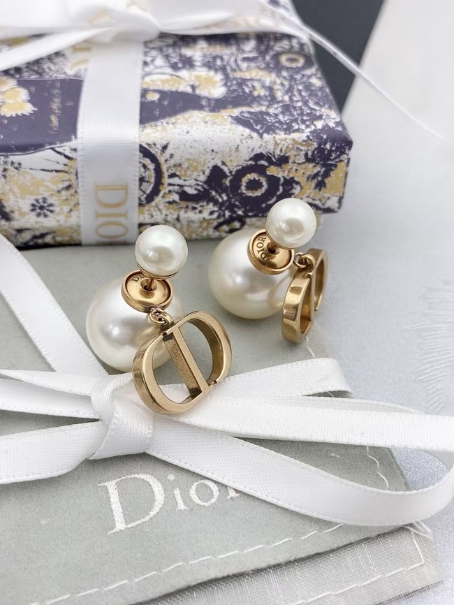 Dior Earrings CE11474