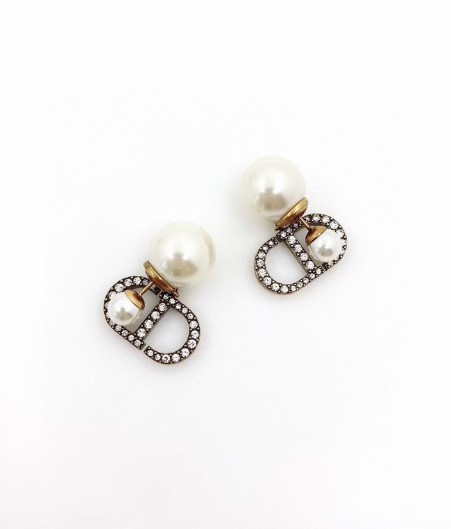 Dior Earrings CE11476