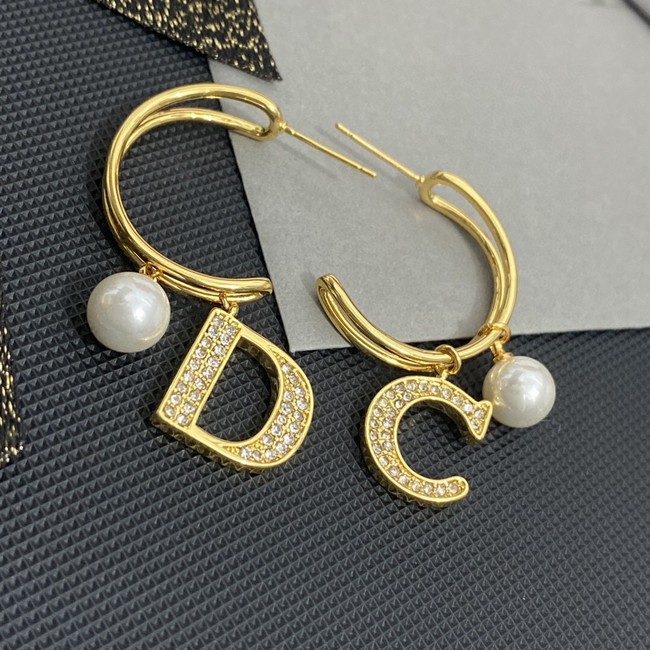 Dior Earrings CE11604