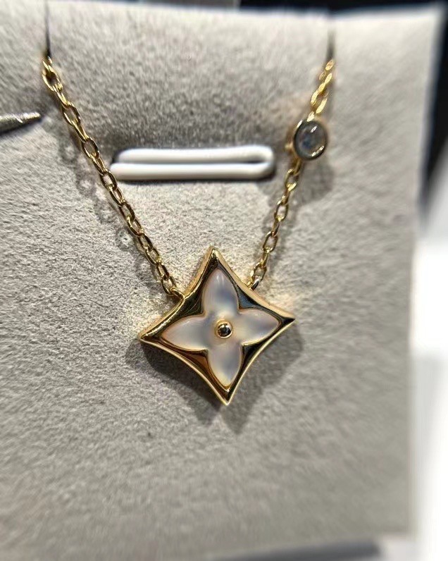 Louis Vuitton Necklace CE11591