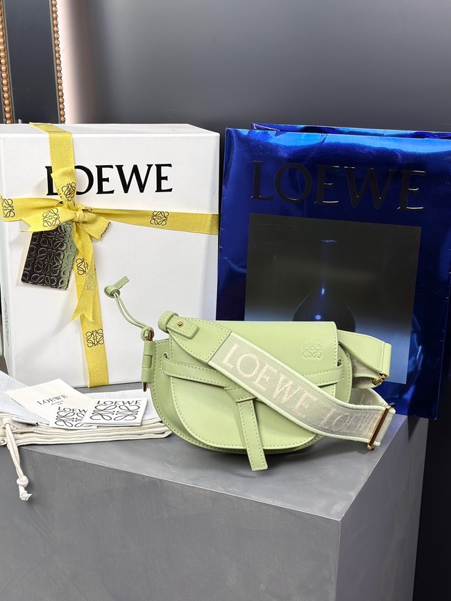 Loewe small Crossbody Bags Original Leather 55662 light green