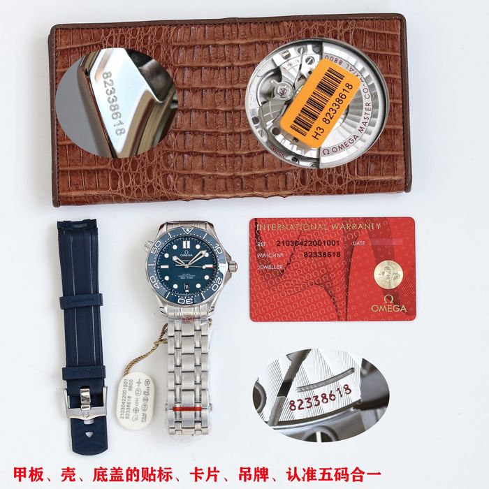 Omega Watch OMW00589