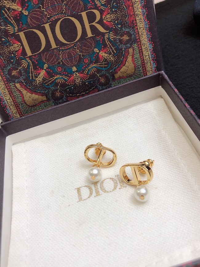 Dior Earrings CE11657