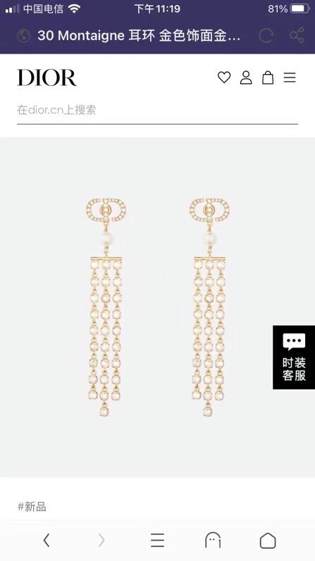 Dior Earrings CE11659