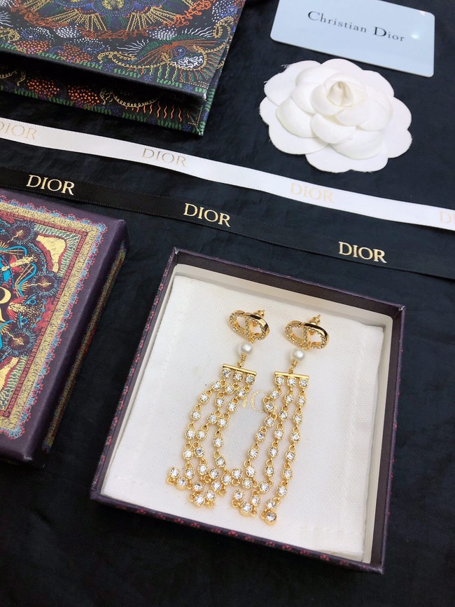 Dior Earrings CE11659