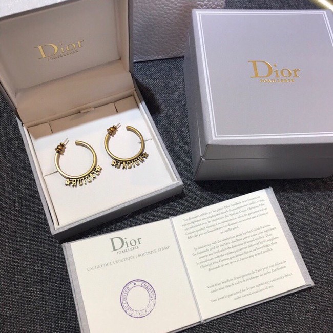 Dior Earrings CE11660