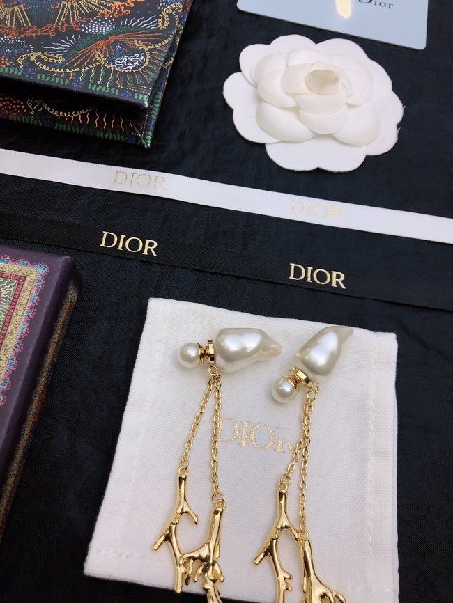 Dior Earrings CE11661