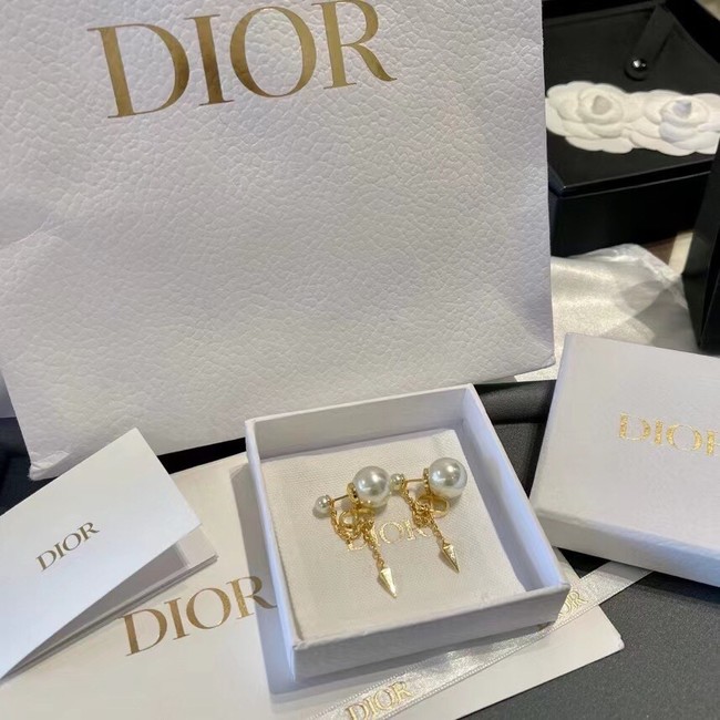 Dior Earrings CE11664