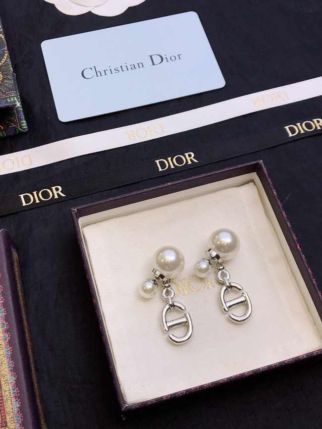 Dior Earrings CE11669