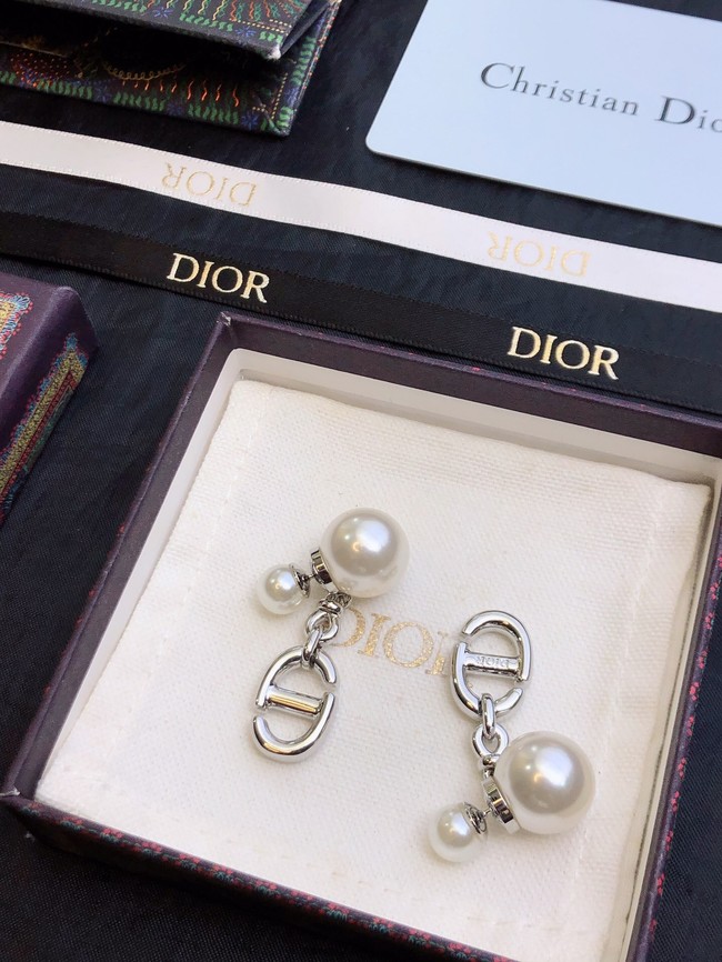 Dior Earrings CE11669