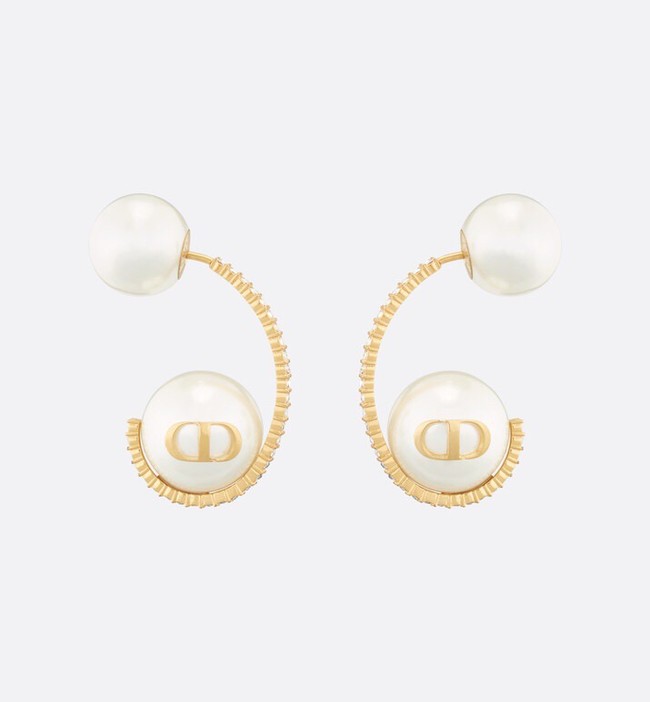 Dior Earrings CE11670