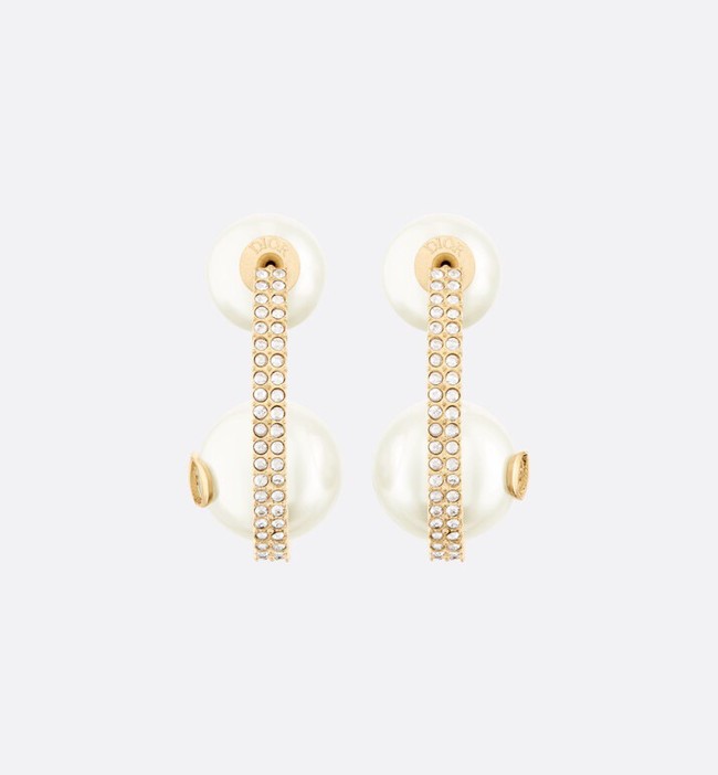 Dior Earrings CE11670