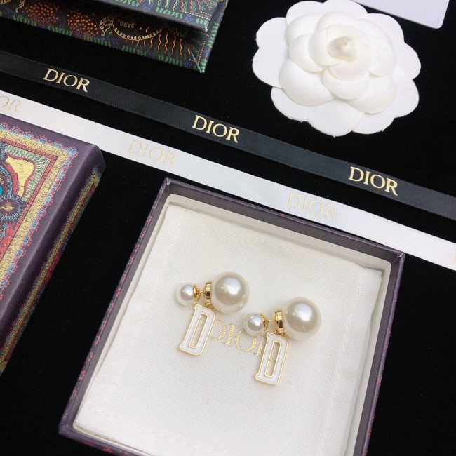 Dior Earrings CE11672