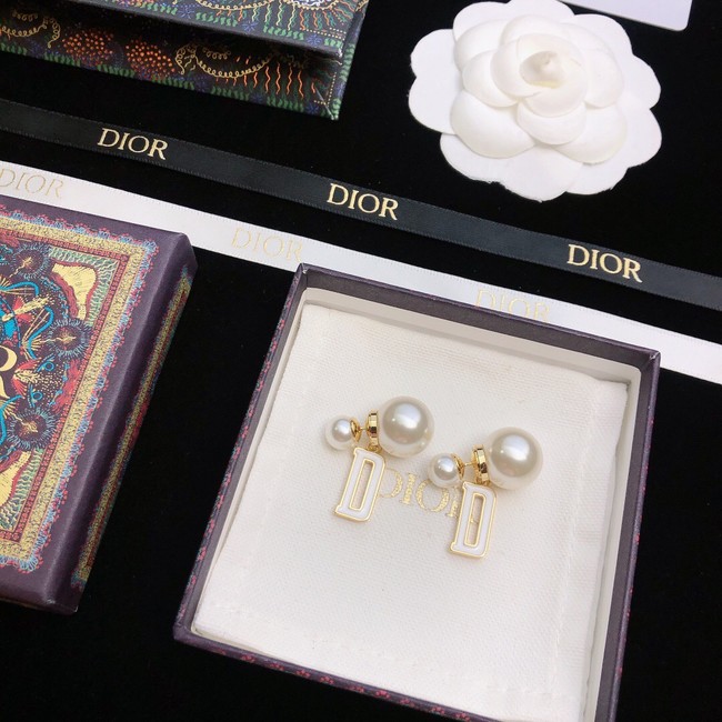 Dior Earrings CE11672