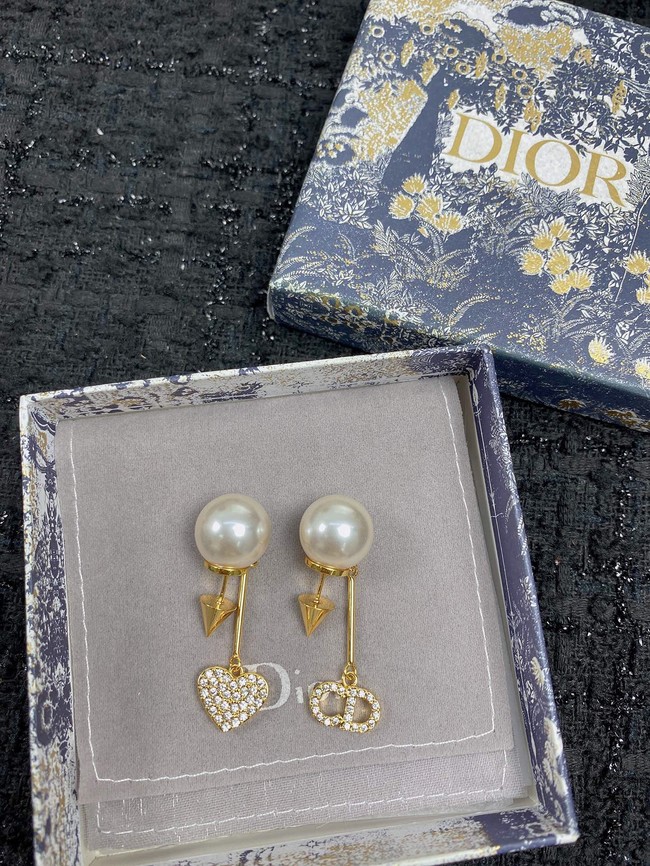 Dior Earrings CE11684