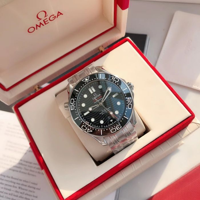 Omega Watch OMW00767